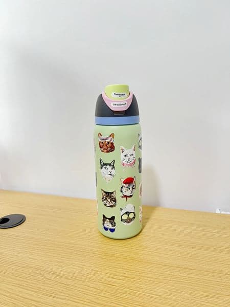 OWa 32oz Stainless Steel Thermos Cup Cold Water Bottle Straw Latest Color Sports Can Hold Ice Cube Cat Pattern 251013