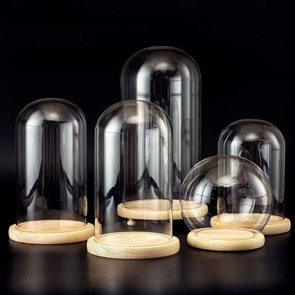 Dia20cm Decorative Clear Glass Dome, Glass Dome for DIY Snow Globes, Tabletop Centerpiece Cloche Bell Jar Display Case wood Base