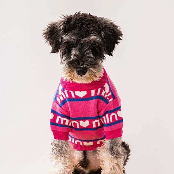 Spring Autumn Pet Puppy Thick Sweater Designer Luxury Warm Dogs Clothes Small And Medium Sized Dog Chihuahua Schnauzer Clothing D251017