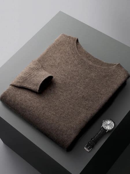 Basic Mens Seamless Wool Pullover Sweater Autumn Winter Oneck Solid 100 Merino Wool Knitwear Casual Simple Man Clothes Tops 251011