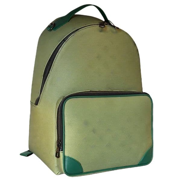 Designer backpack School Bags Leather Double shoulder straps backpacks Men Women School schoolbag Travel Bags Lady Knapsack Purses Duffle Luggage bagpack 2239