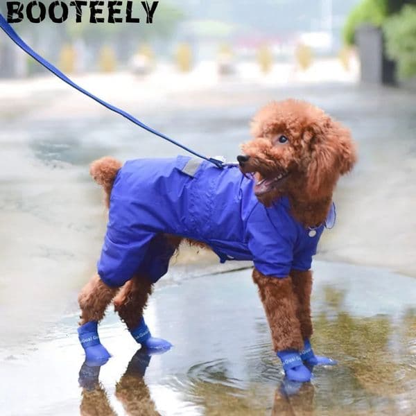 A Set Of Blue Pet Rain Boots Silicone Antislip And Waterproof Dog Shoes And Dog Foot Covers Suitable For Puppies 251028BJ