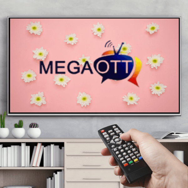 TV Remote Controller For Smart TV FHD Mega Android TV Box 12 months free replace