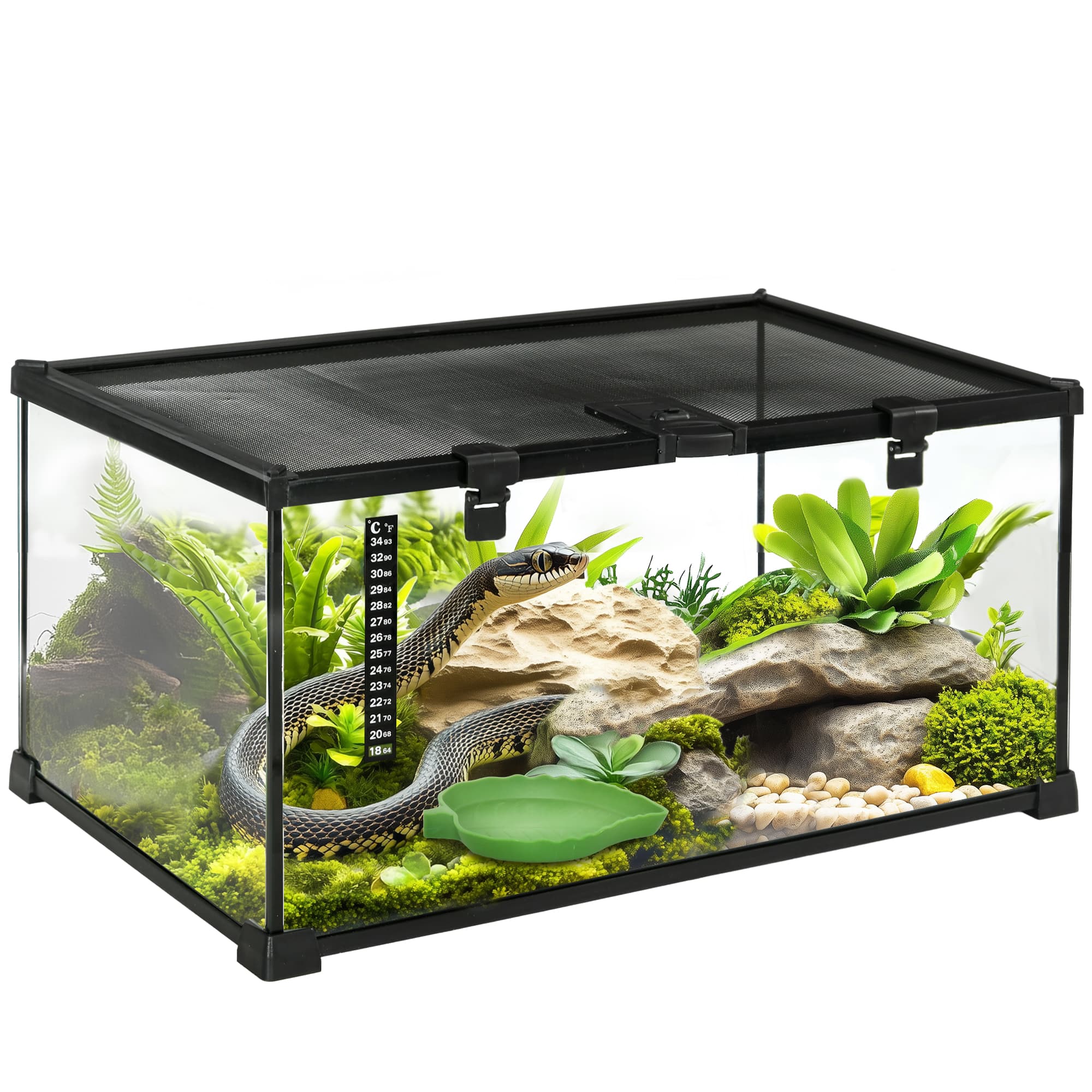 PawHut 50 x 30 x 25 cm Reptile Glass Terrarium, Reptile Breeding Tank, Climbing pet Glass Containers, with Strip Patch Thermometer | Aosom UK