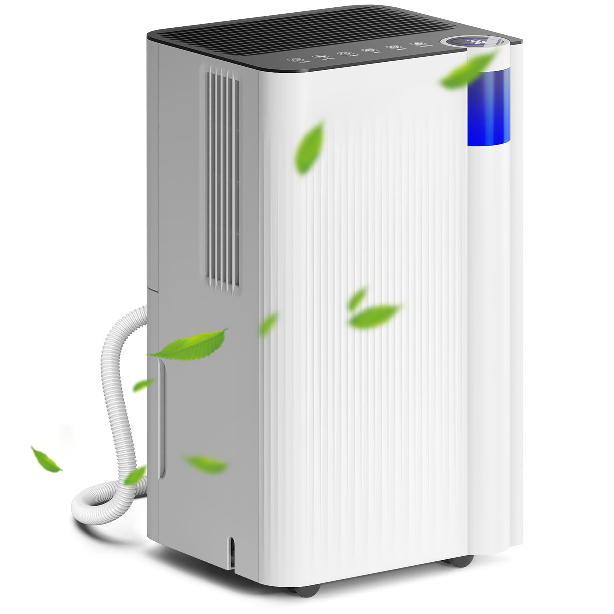 HOMCOM 12L/Day Quiet Dehumidifier with Continuous Drainage, 2L Water Tank, 24H Timer, Digital Humidity Display, Filter, Auto Defrost, for Home Laundry, White | Aosom UK