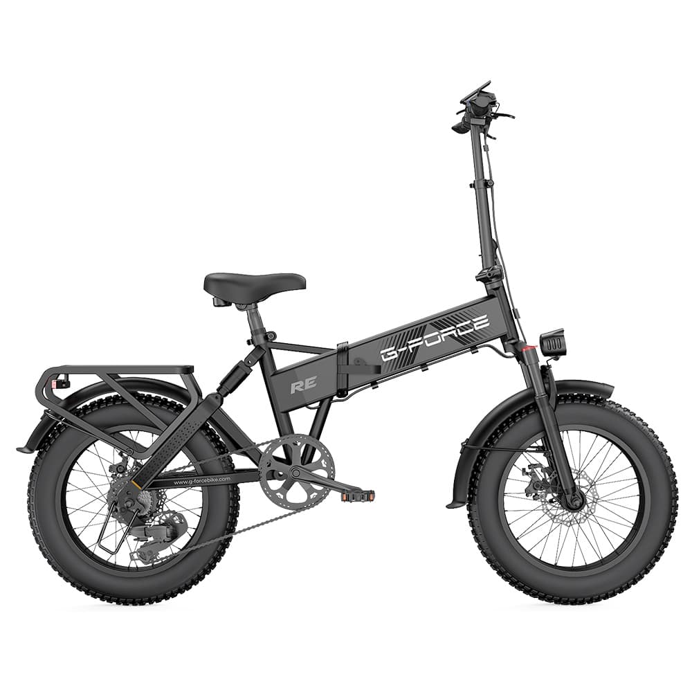 G-FORCE RE Elektrofahrrad 250W 48V 15.6AH Schwarz