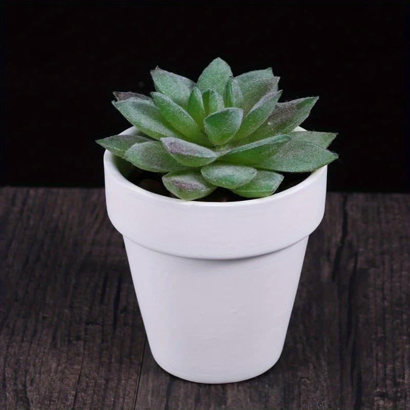 TEMU 6pcs 3.15'' Terra Cotta Pots: Plants, Crafts, & White Painting - With Drainage Hole!