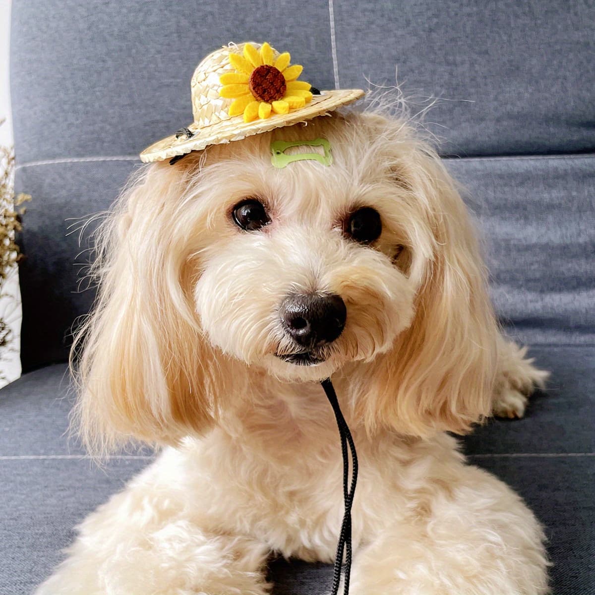TEMU Pet Accessory Hat, -style Sunflower Straw Hat, 1pc