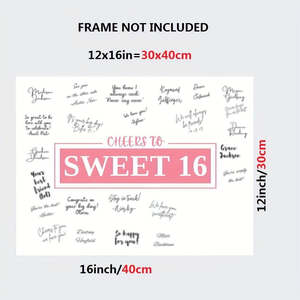 TEMU Cute Sweet 16 Birthday Decorations For Girls, Signing Board Guest Book, 16th Birthday Decorations For Boys, Funny 16th Birthday Gifts, Sign In Poster For Birthday (12x16 Unframed)