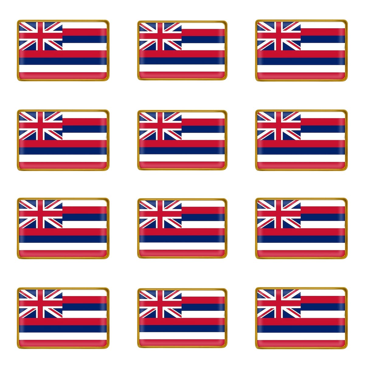 TEMU 12 Hawaiian Flag Brooch Additions