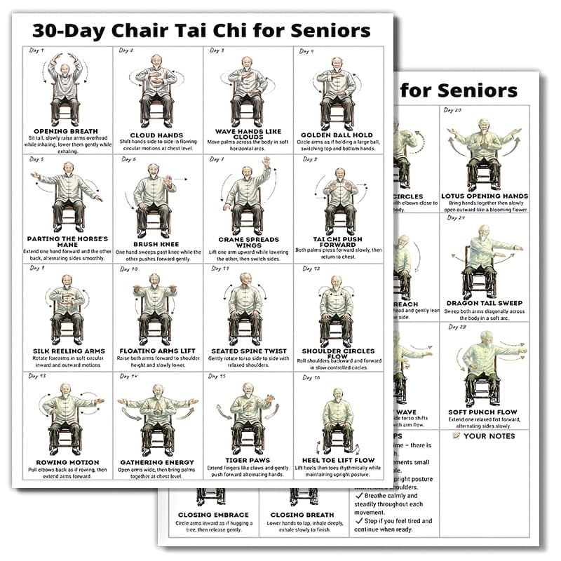 TEMU Poster For -day Chair Tai Chi Program , Featuring A Wall Chart For Seated Exercises, Serving As A Home Fitness Guide For Elderly Beginners
