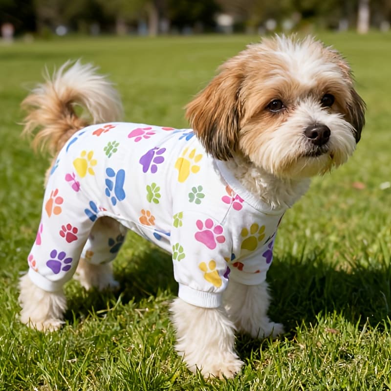 TEMU Dog Onesie, Outing Home Body Suit, Suitable For Multiple Scenes