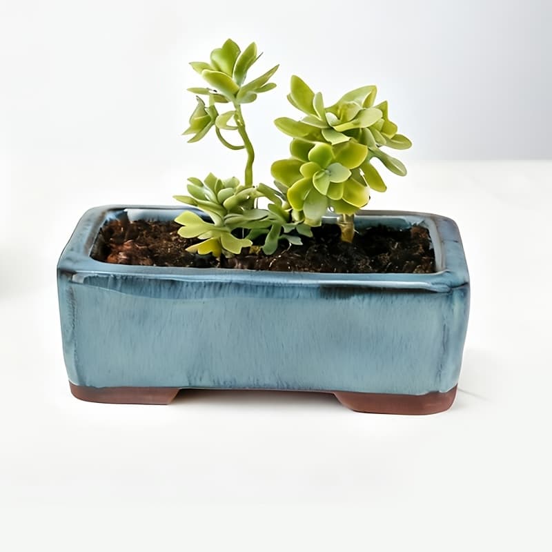 TEMU Set Of 1-2pcs Unique Handcrafted Ceramic Pots For Desk, Featuring Drainage Holes, Ideal For Succulents And . Gardening Gift Home Decor