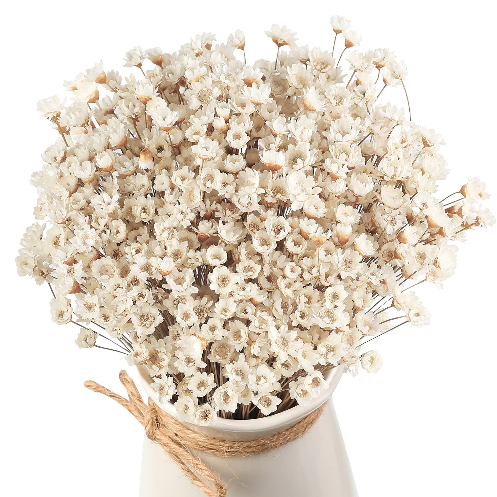TEMU 500pcs Flowers Mini Chamomile Daisy Dried Flowers Decorative White Daisy Bouquet For Wedding Vase Arrangements Decorations