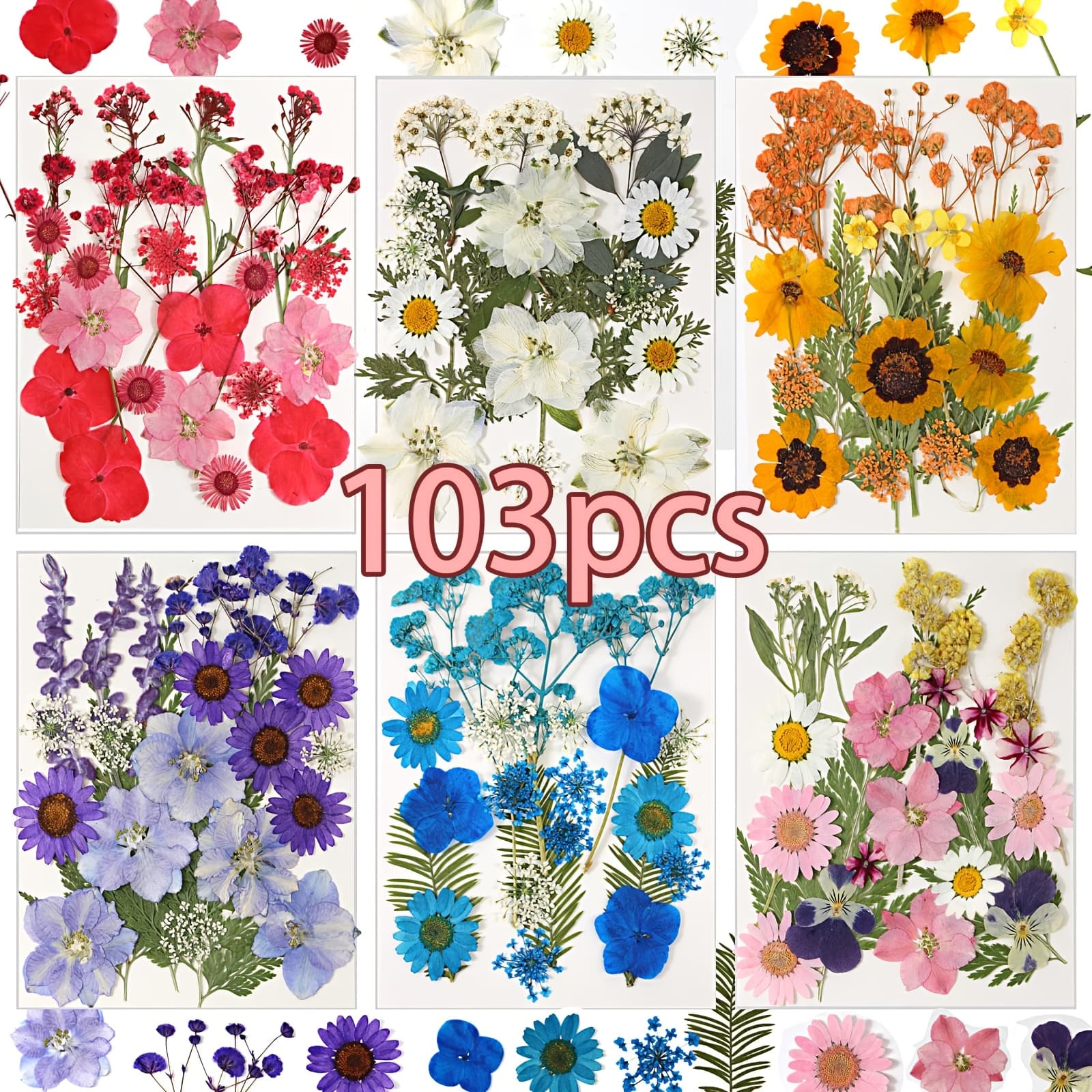TEMU Bright Dry Pressed Flowers And Leaves Set - Nature Inspired Decoration Set, Dried Flowers Used In Resin Mold Diy Crafts, Halloween, Christmas Gifts, Home Wedding Decor