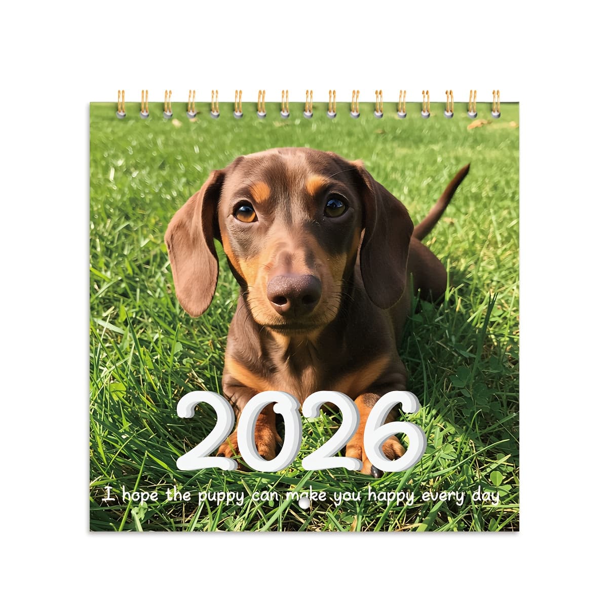 TEMU Cute Sausage Dog Calendar 2026 Wall Calendar A4 Size Set 12 Pages Pearl Material Living Room Wall Decoration Calendar Wall Calendar