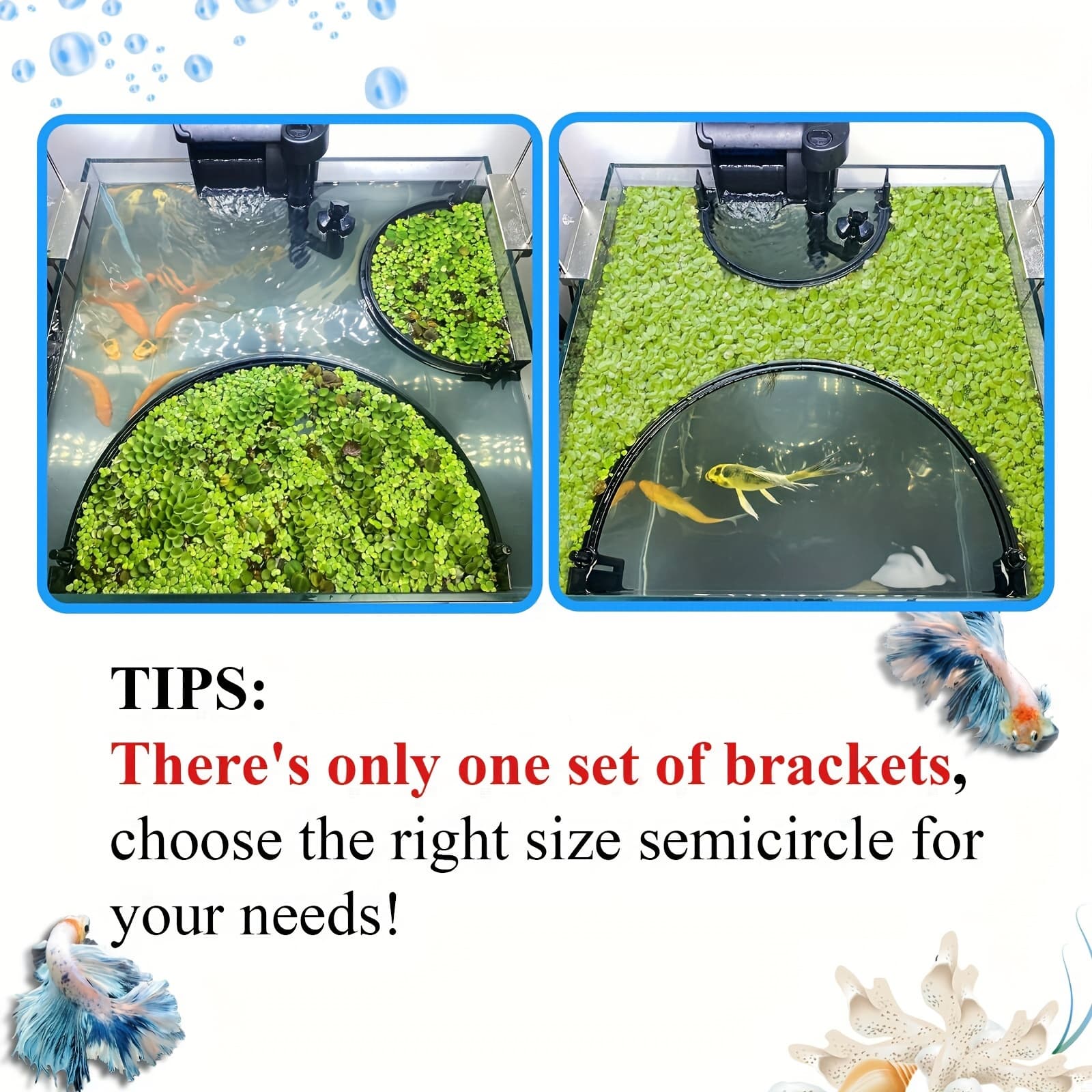 TEMU Floating Plant Corral For Aquarium, Fish Tank Additions To Separate Plants, Automatically Adjusts Height With Water Level, Suitable For All Floating Plants And For ()