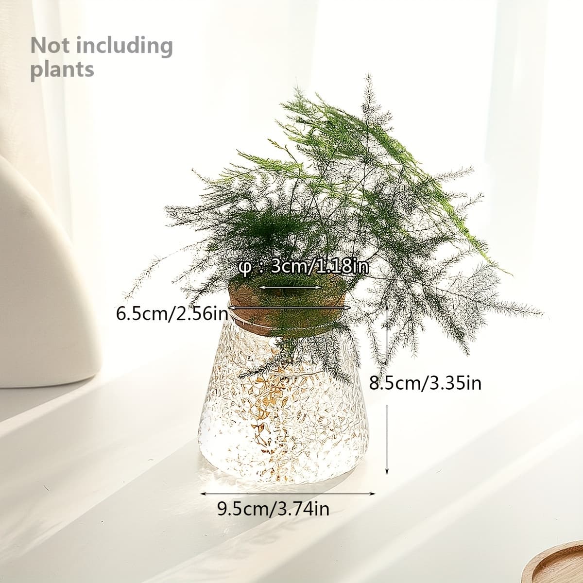 TEMU 1pc Glass Vase Hydroponic Plant Bottle With Cork Stopper Vase For Indoor And Outdoor Decoration Wedding Decoration Small Vase Plant Insertion