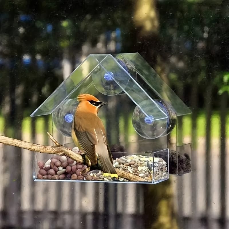 TEMU 1pc Clear Acrylic Bird Feeder With Suction Cups - Durable Pp Material, Indoor/outdoor Hanging Seed Dispenser For Bird Watching