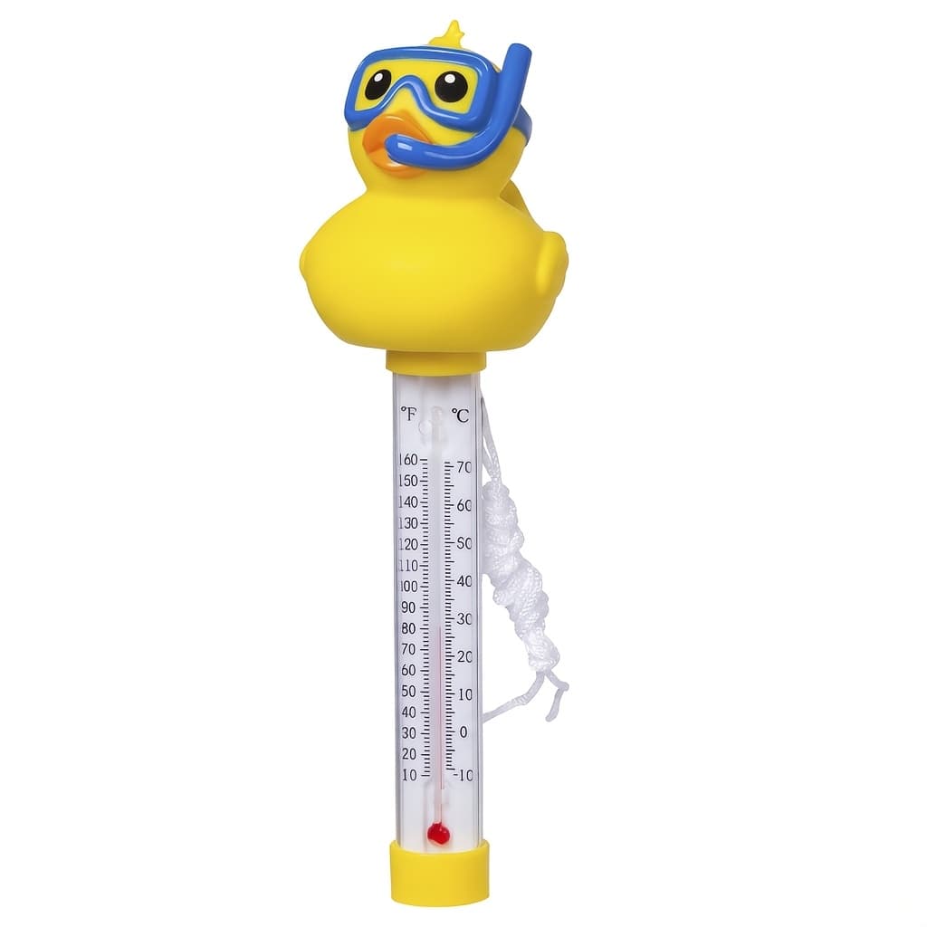 TEMU Thermometer W