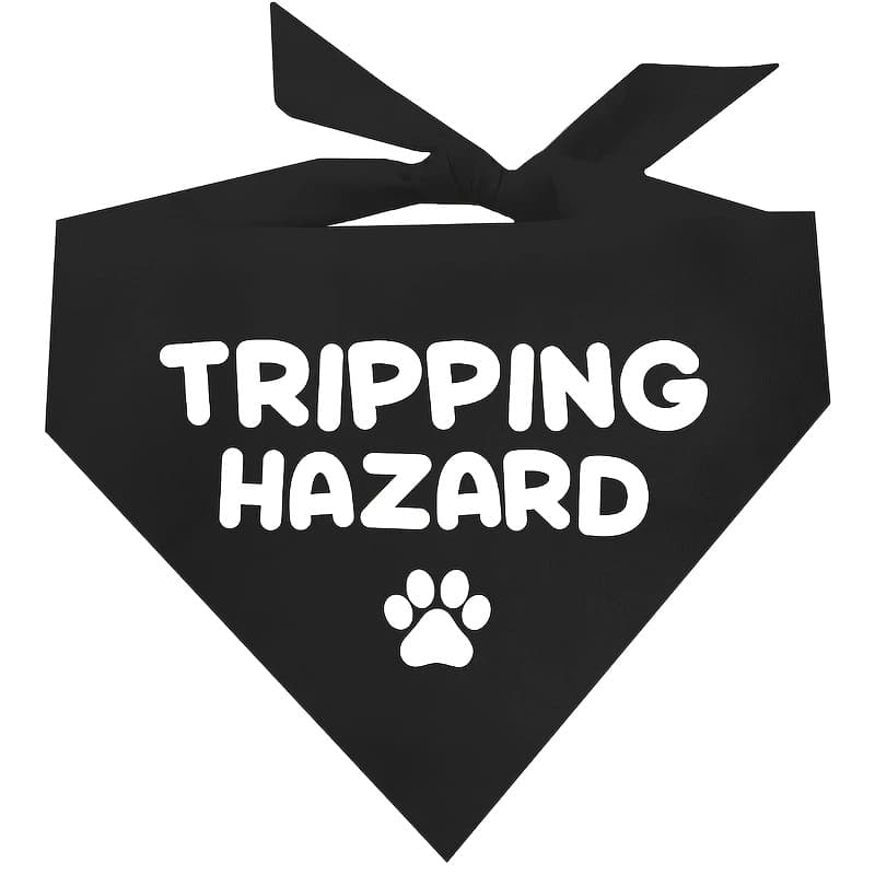 TEMU 1pc 24.8×11 Inch Dog Bandana For Hazards, Adjustable , Fun Black Neckerchief Bibs For Cats And Dogs, Perfect For Pet Birthdays