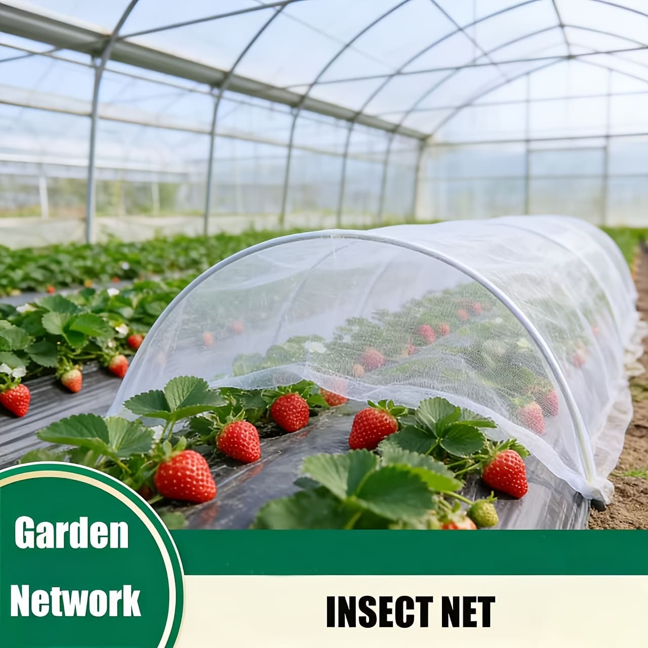 TEMU 100 Mesh Transparent Pet Insect-proof Net, Used For Garden Protection, Covering Plants For Vegetables, Flowers, And Fruit Care, As Well As Greenhouse Pest Control Netting