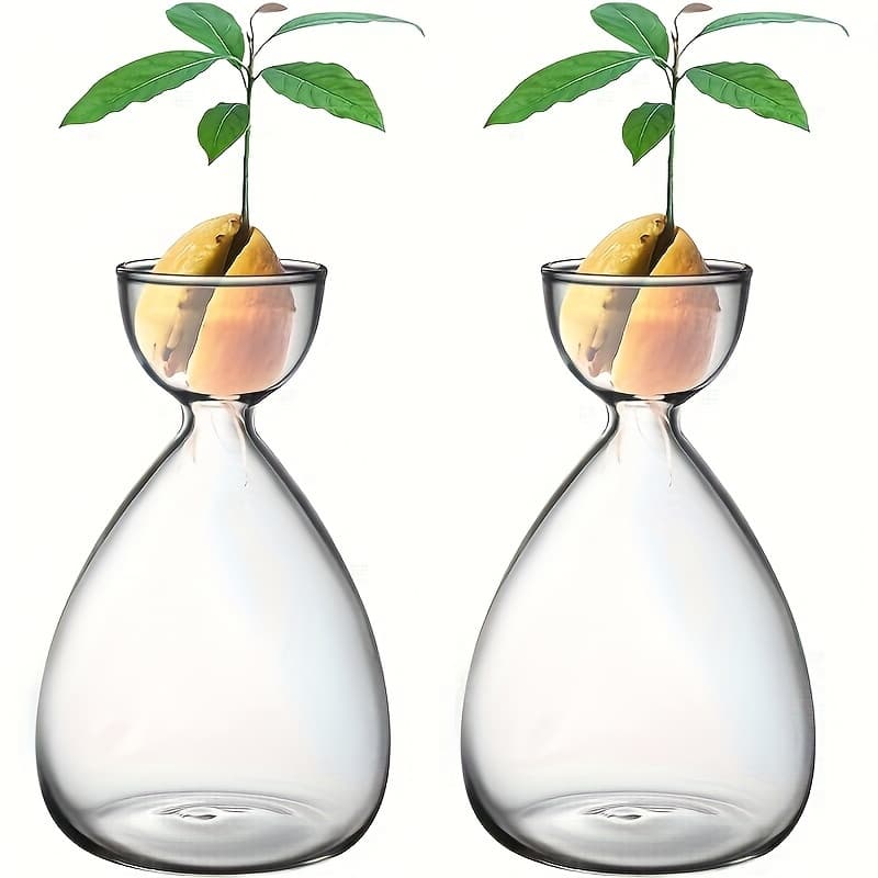 TEMU 2pcs Small Vase, Tree Growing Kit, Glass Plant Pot Vase Gifts For , Wedding Decoration, Home Decoration