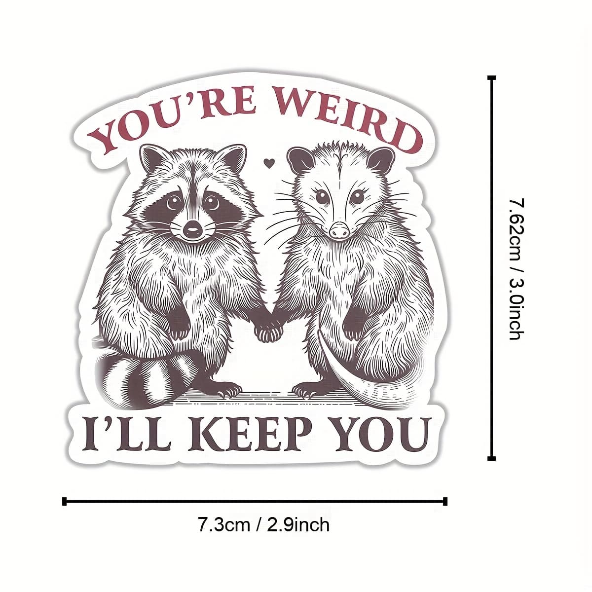 TEMU Inspirational " " Vinyl Stickers - Funny Raccoon Design With Heart Accents | Laptops, Water Bottles, Books | Ideal Gift For Teachers, Book Lovers, Novelty Stickers