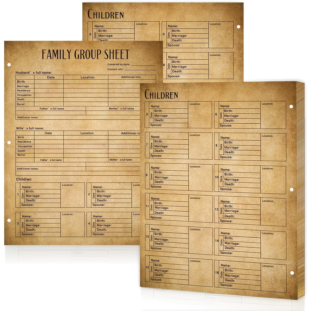 TEMU 20pcs 12th Generation Sheets 3 Hole Forms 8.5x11'‘ Charts To 2 Sided Blank Forms Tree Work Sheet For Research