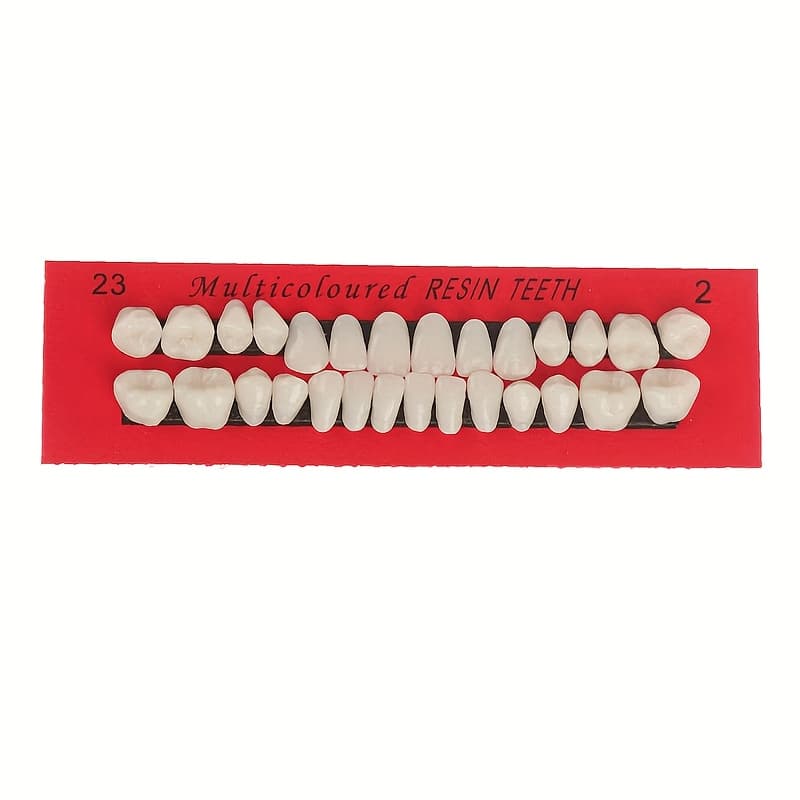 TEMU 56 High-quality Polypropylene Dental Practice Models: Realistic Tooth Design, Improving Oral Care Training And Teaching Efficiency