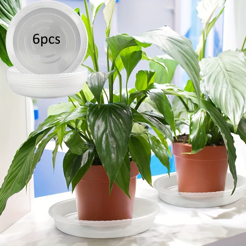 TEMU Of Plant Tray, Transparent Plastic Plants Tray, Transparent Plastic Flower Pot Tray, Heavy And Sturdy Plant Tray, Suitable For Indoor And Outdoor
