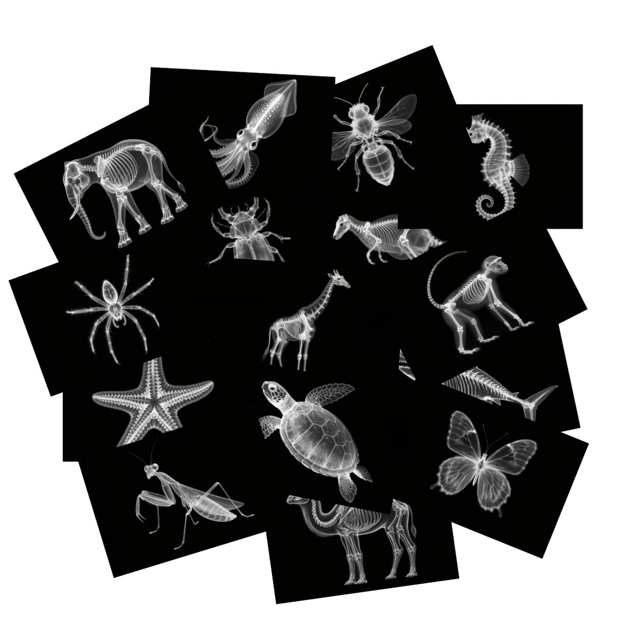 TEMU 15 Of Insects, Wild Animals And Combination Kindergarten Light And Shadow Area Material Light Table Accessories