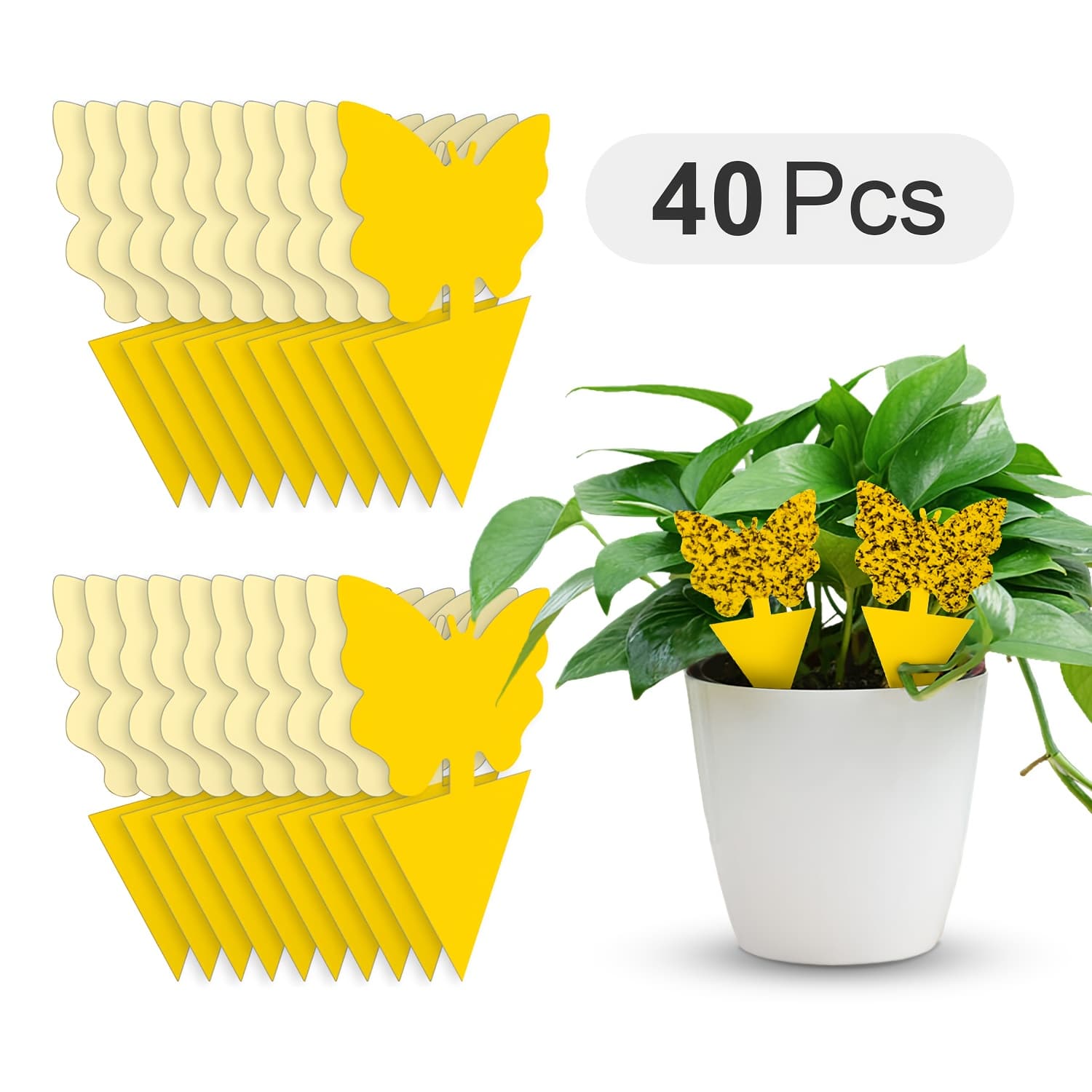 TEMU Fruit Fly Sticky Traps | Fungus Gnat Traps For Indoor & Outdoor Plants, Kitchen - Non-toxic, Plastic, Effective Pest Control, No Electricity Needed