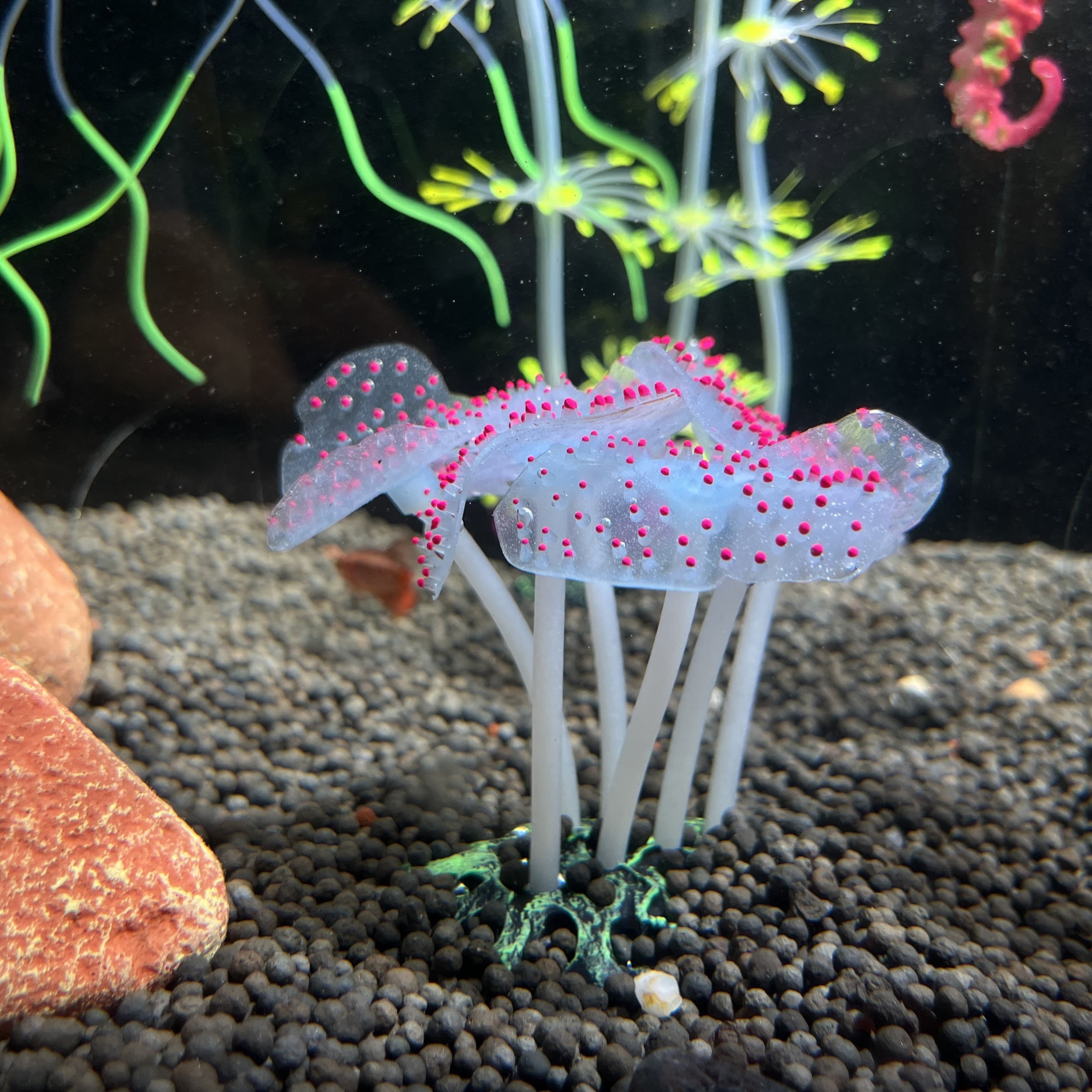 TEMU Silicone Coral Plant Decorations, Glowing Artificial Ornament For Fish Tank Aquarium