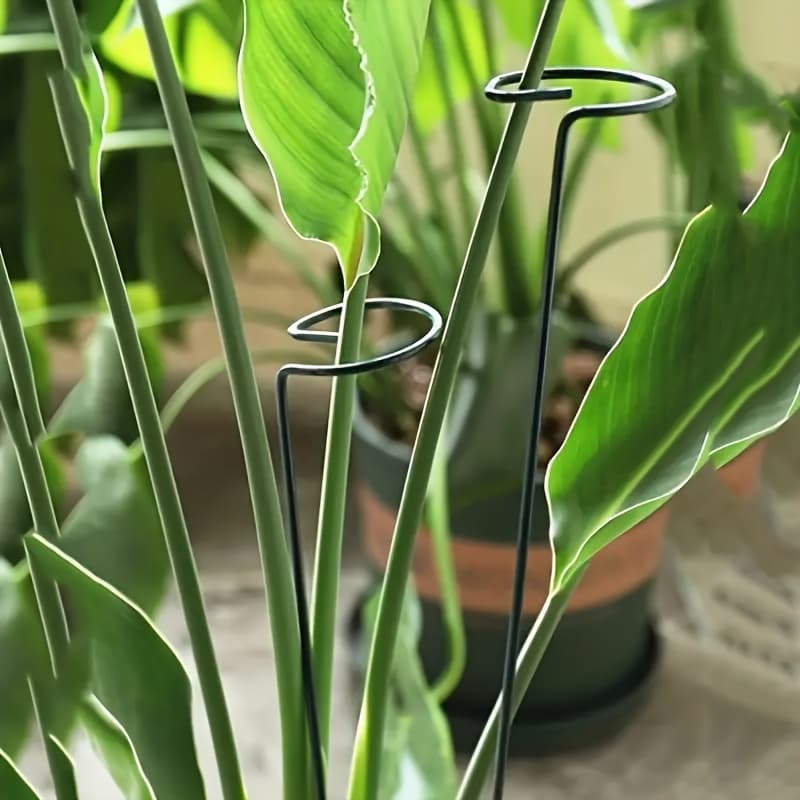 TEMU 2pcs, Iron Plant Support Pole 15.7in*2.48in, Plant Support Stakes, Flower Garden Stakes Plant Stick Supports Cages Ring Hoops