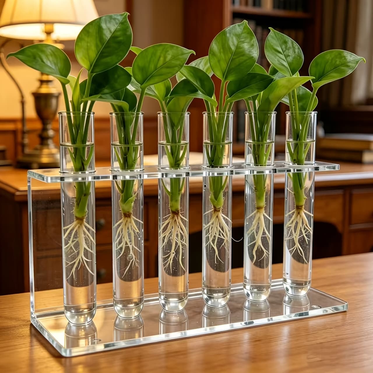 TEMU 6-tube Acrylic Water Planter Rack, Clear Hydroponic Plant Vase Holder With Transparent Test , Decor For , Succulents, Herbs