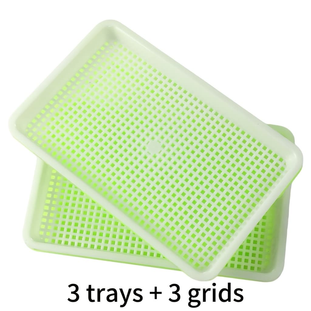 TEMU A Set Of 6 Multi-functional Bean Sprout Trays, Effortlessly Mung And Soybean Sprouts, Enhancing Nutrition And Energy