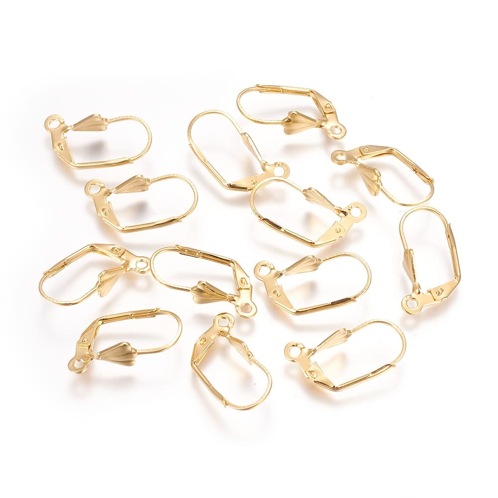 TEMU 10pcs 18k Golden Plated 304 Stainless Steel Leverback Earrings Findings With Loop For Diy Earrings Making 19x6x12mm, Hole: 1.6mm