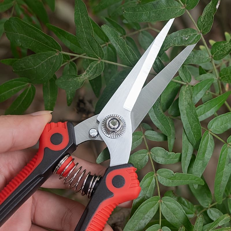 TEMU Bonsai Scissors - Left-handed And Right-handed Gardening Scissors - High- Fruit Scissors