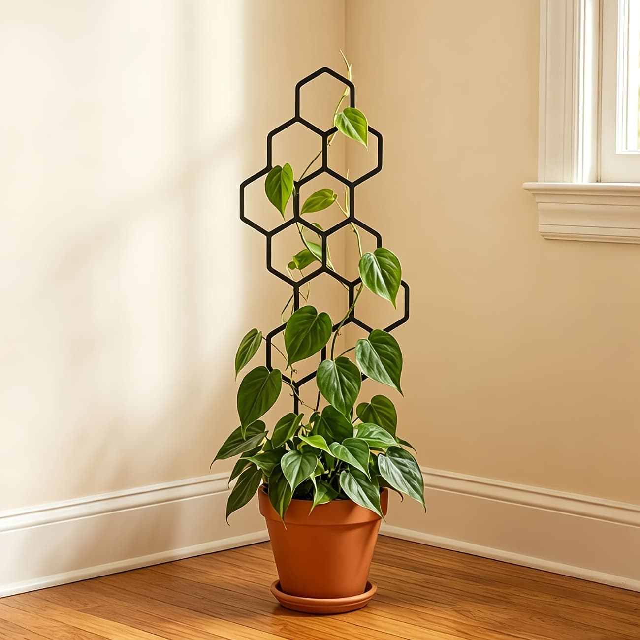 TEMU 38x15cm Transparent Golden Honeycomb-shaped Plant Climbing Frame, Leaf-shaped Climbing Trellis For Potted Vines And Flowers, Space-saving Indoor/outdoor Gardening Support, Black Stand
