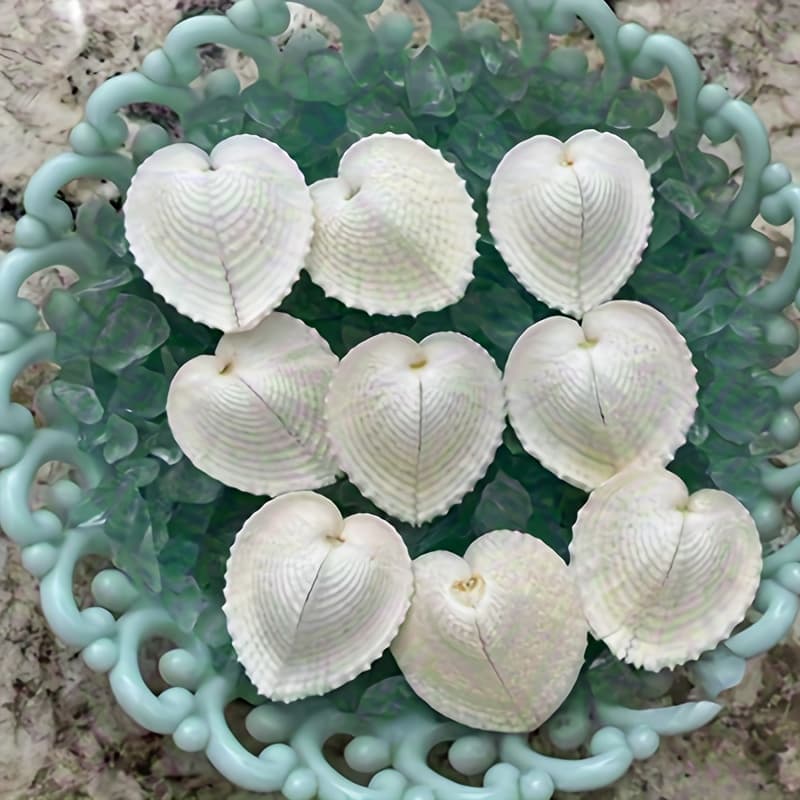TEMU Heart-shaped Shells 6pcs Set Adorable Unique Handmade Diy Shells Valentine's Day Gift Beach Wedding Decor Coastal Home Decor Package