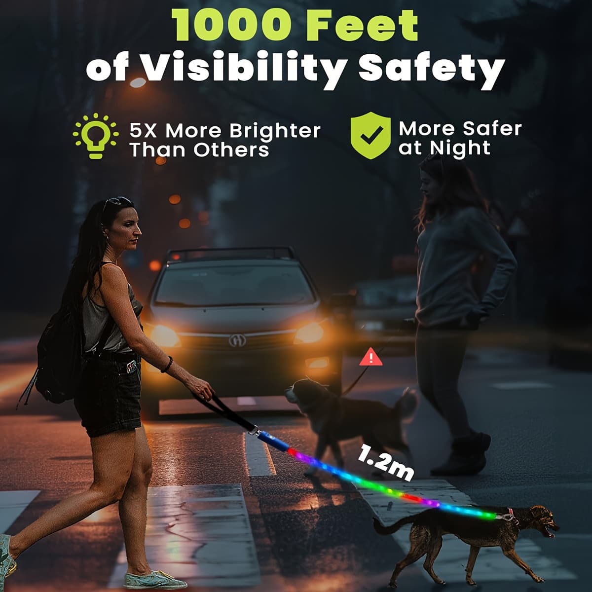 TEMU Light Up Dog Leash, Led For Night Walking, 13 Lighting , Rechargeable Dog Lights, Glow In The Dark Walking Leashes With Free Hook For Small Medium Large Dogs - 4ft