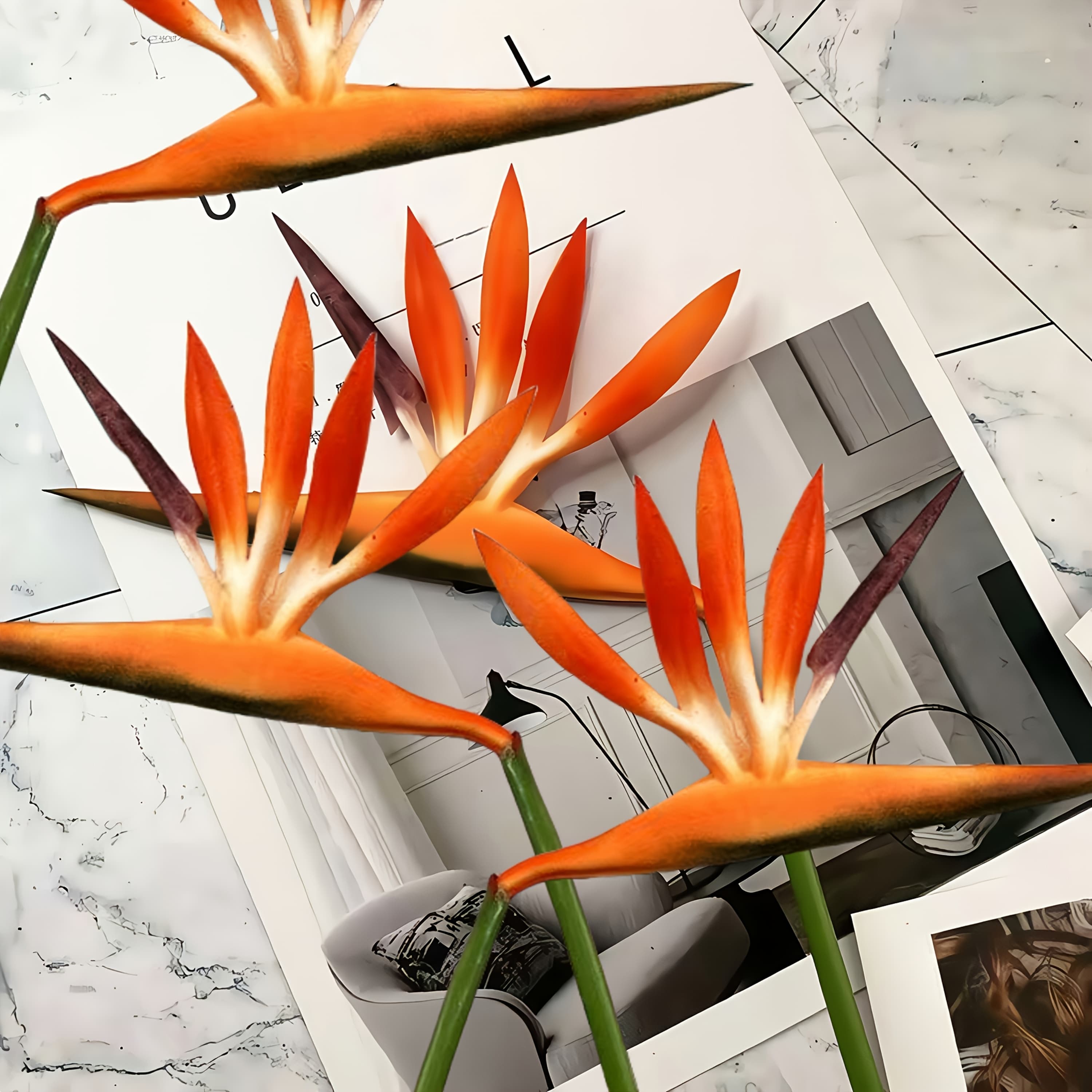 TEMU Set Of 6 Artificial Bird Of Paradise Plants, Perfect For Weddings, Anniversaries And Holiday Gifts ('s Day, , Father's Day), Spring And Summer Decoration