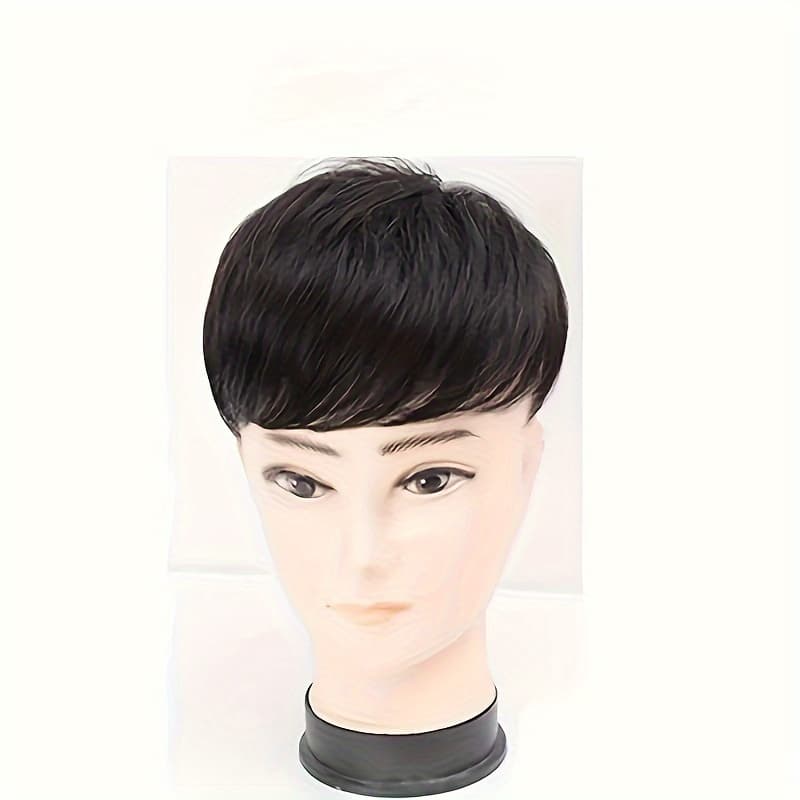 TEMU Men's Fake Hairpiece Black False Hair Cover Effectively Cover Thinning Hair Male Clips-on Short Hair Wig