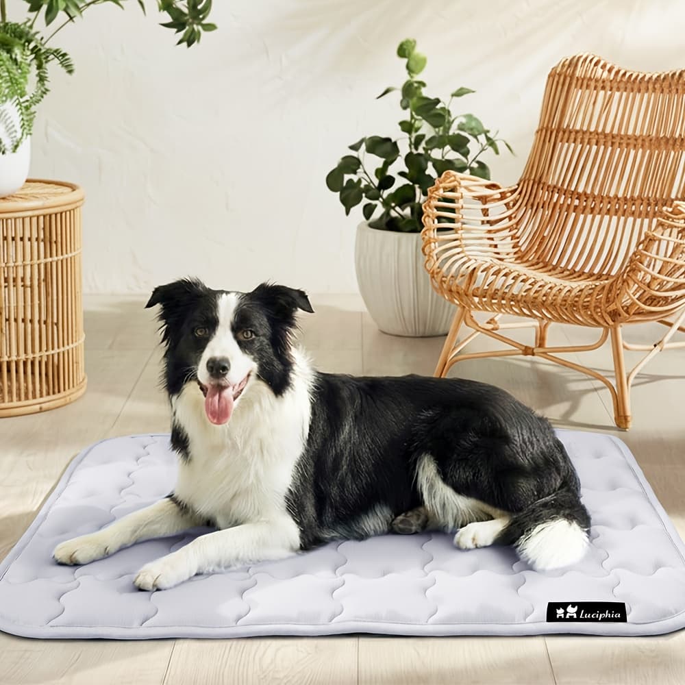 TEMU Cooling Mat For Dogs And Cats, Portable Self-cooling Pad For Pets, >0.5 Non-slip & Washable Summer Cooling Mat, Pet Towel Included