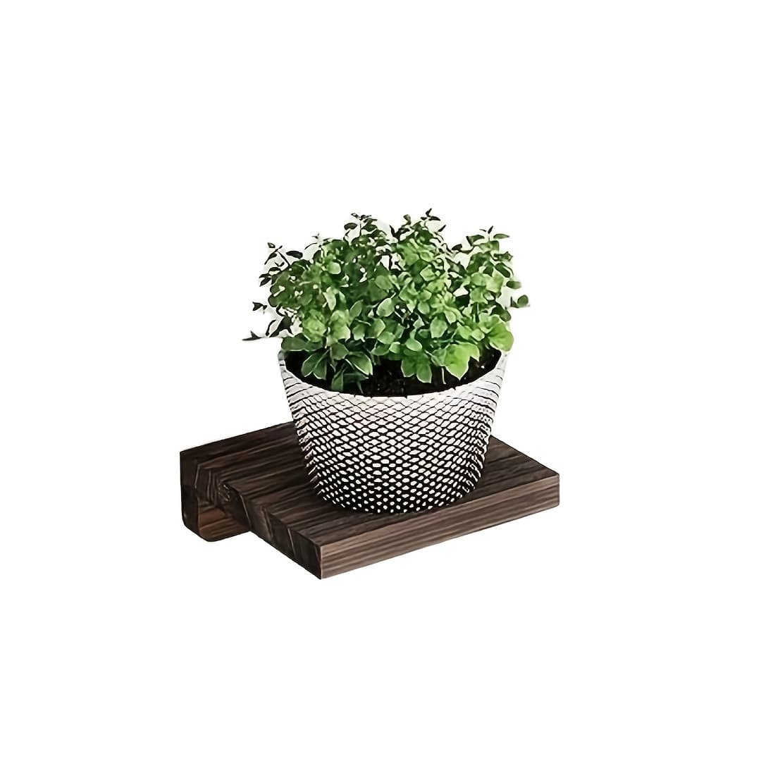 TEMU Small Floating Bookshelf 5x5-inch Wall Rack, Small Wall-mounted Bookshelf Made Of Local Wood, Suitable For Bedroom, Living Room, Bathroom Decoration, Office Brown And White, Floating Shelves