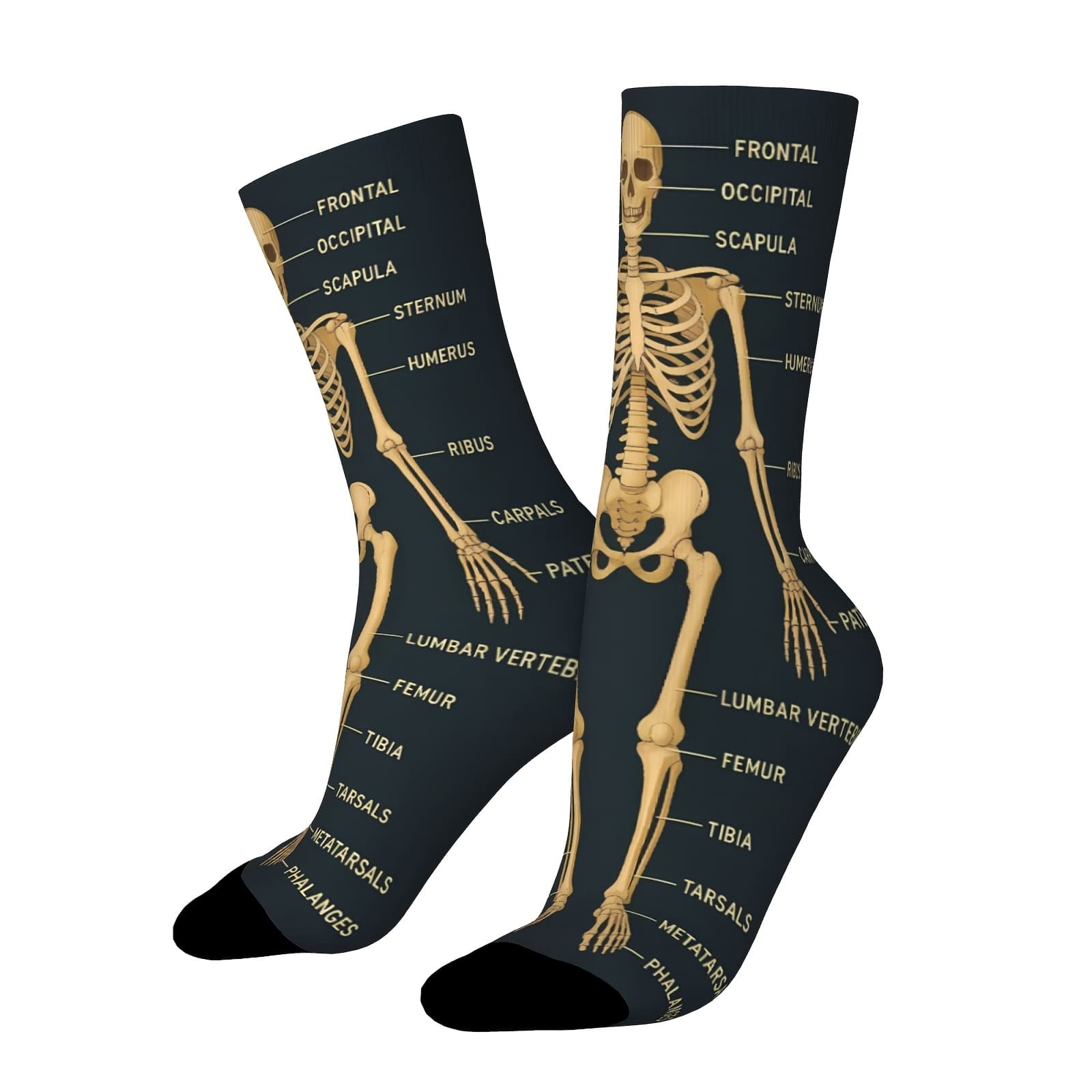 TEMU A Pair Of Unisex Outdoor Socks Featuring A Skeletal Pattern, Mid-calf Length, Machine Washable, Suitable For Outdoor Sports Enthusiasts, Comfortable And Breathable, Stylish For Everyday Wear