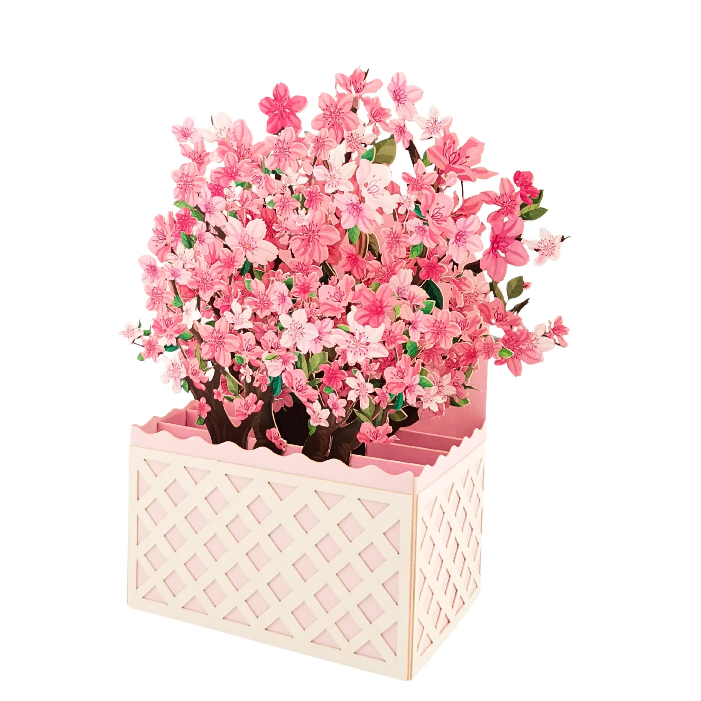 TEMU 1pc Flower Up Card, Cherry Pop, Bouquet, Greeting Card , Aniversary, Paper Bouquet With Card And Envelope, Spring Paper Card, Unique Gift Birthday Card For Daughter, Mom, Wife, Women, Girl Or