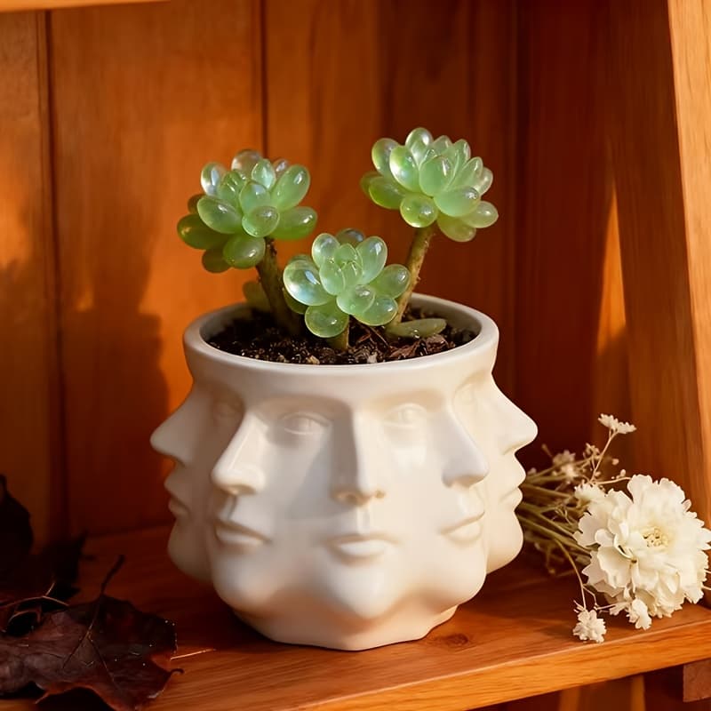 TEMU Multi-face Flower Pot Gardening Gift,home Decor