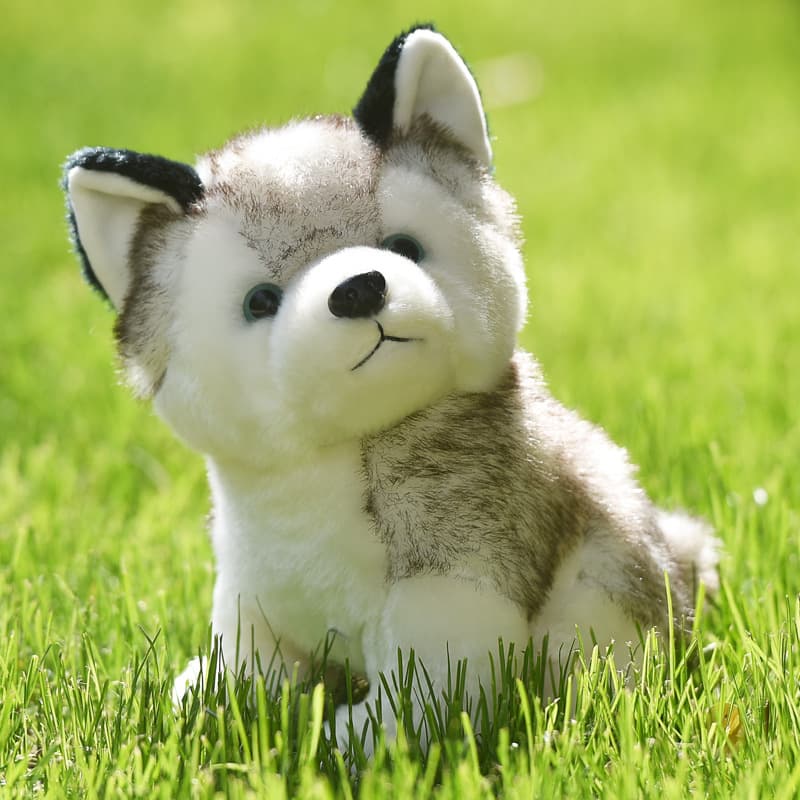 TEMU 1pc Realistic Husky Puppy Plush Toy - 20cm/7.87in Soft Chewable Dog Doll Suitable For Small & Medium Dogs, Durable Indoor Play & Cuddly Husky Companion /holidays
